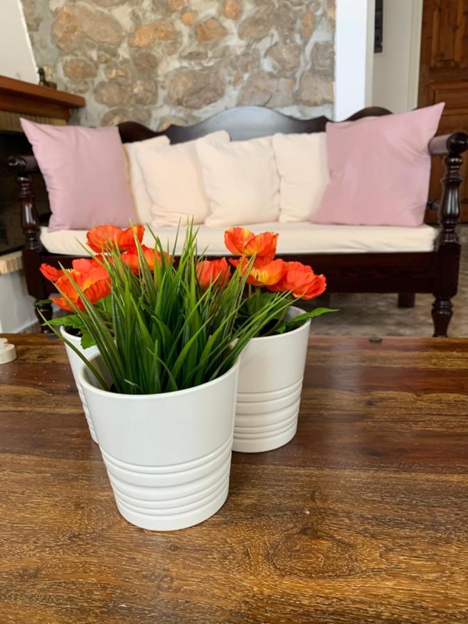 Althea Garden House Βίλα Ύδρα Εξωτερικό φωτογραφία