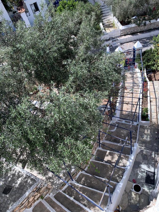 Althea Garden House Βίλα Ύδρα Εξωτερικό φωτογραφία