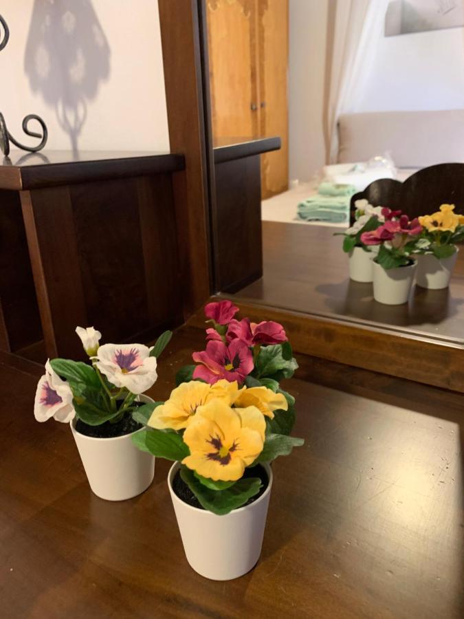 Althea Garden House Βίλα Ύδρα Εξωτερικό φωτογραφία