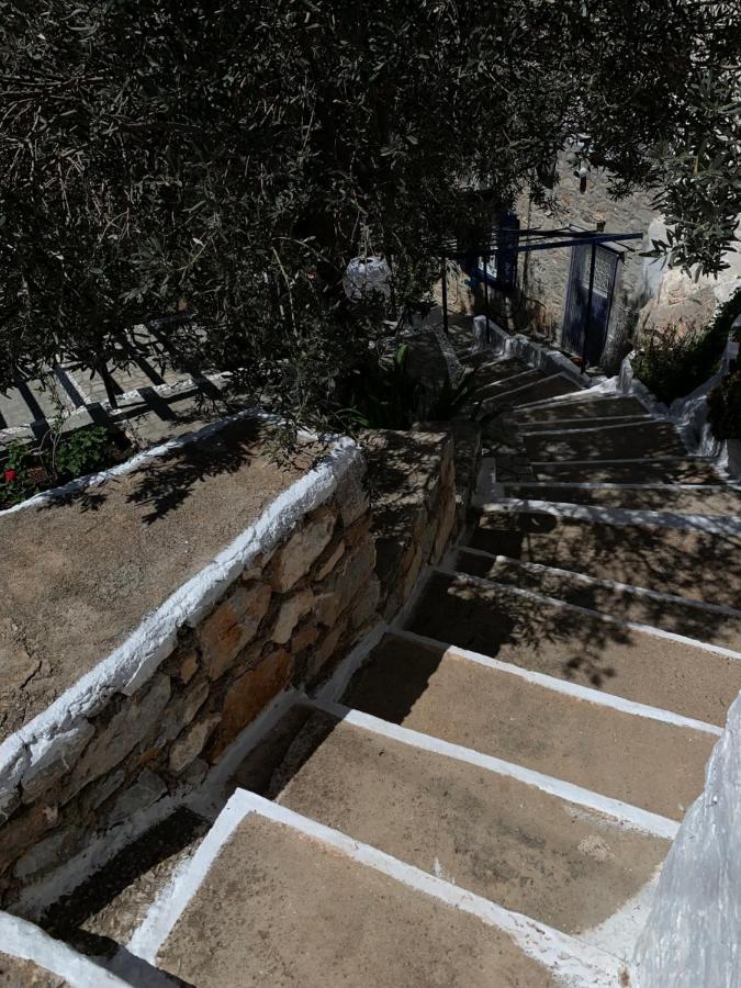 Althea Garden House Βίλα Ύδρα Εξωτερικό φωτογραφία